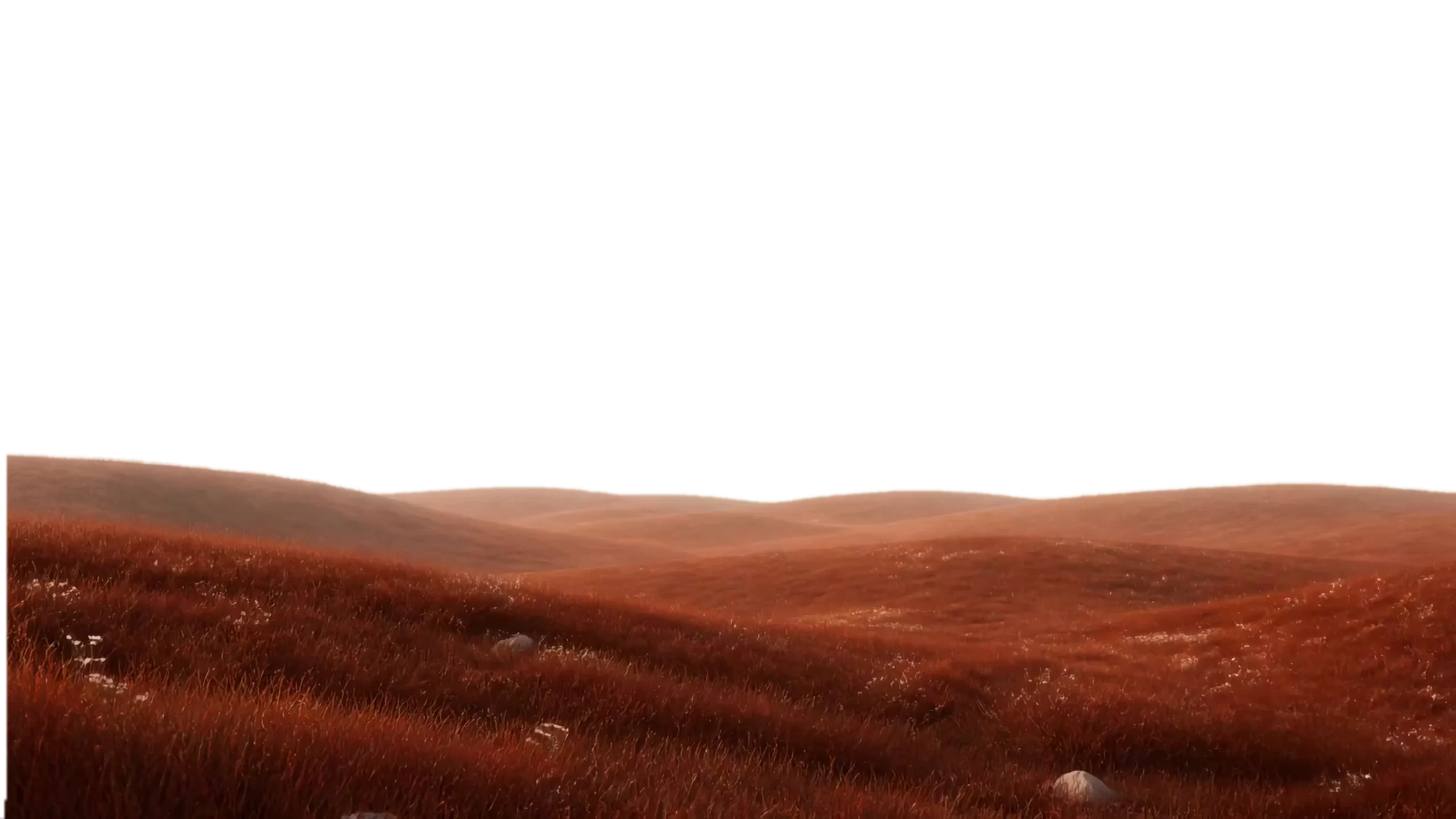 DockFix — screenshot 3