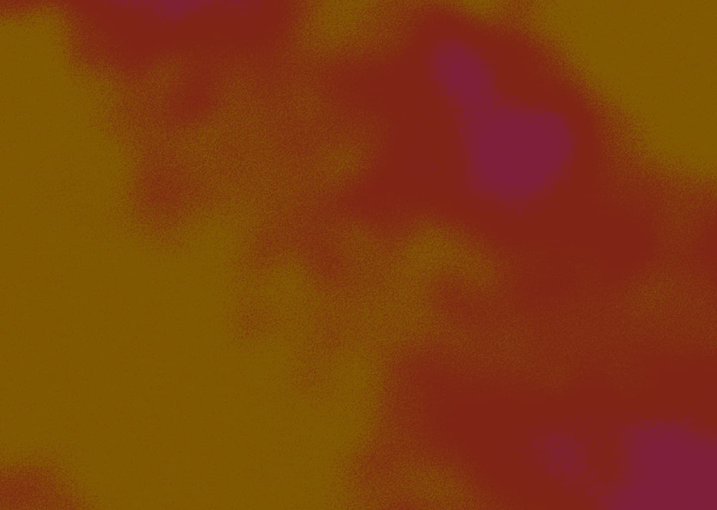 Suno — screenshot 2